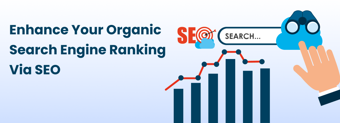 Enhance Your Organic Search Engine Ranking Via SEO